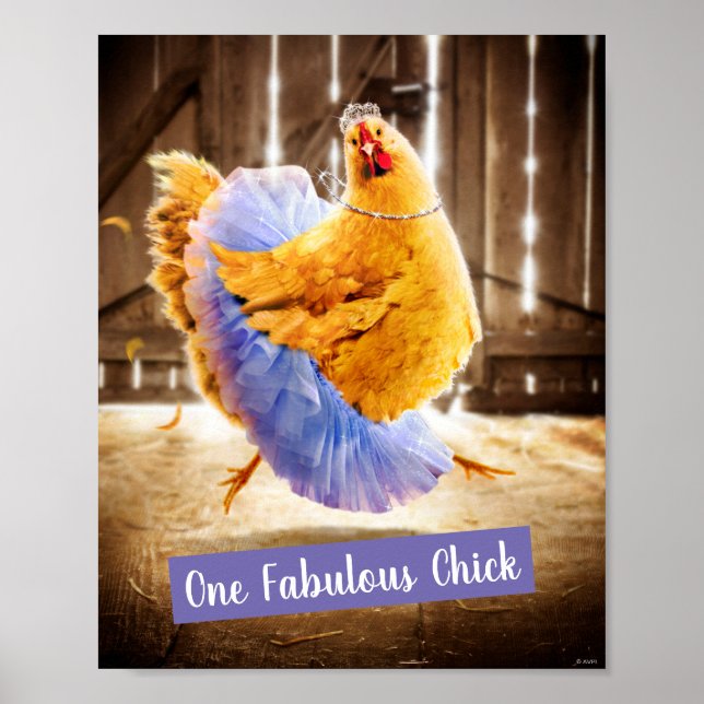 Affiche Poulet dans un Tutu (Devant)