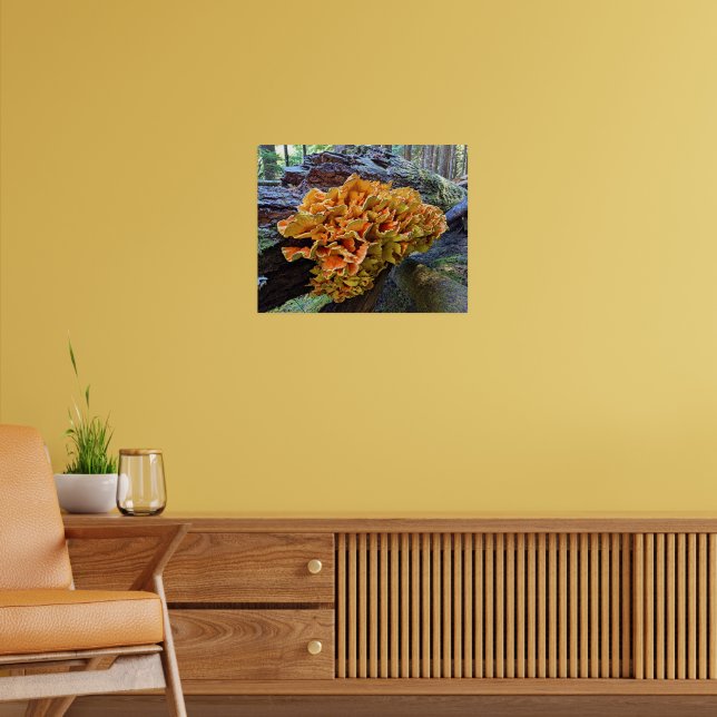 Affiche Poulet d'orange de la forêt Champignon (Salon 2)