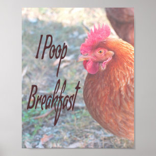 Affiche Poulet I poop Petit déjeuner Humour amusant