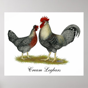 Affiche Poulets crèmes de Legbar