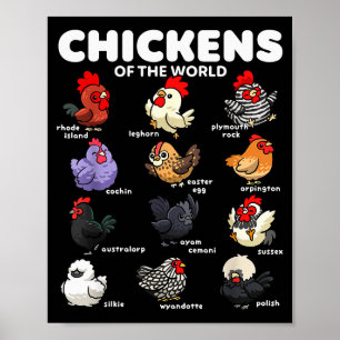 Affiche Poulets du monde dessins animés drôles de races de