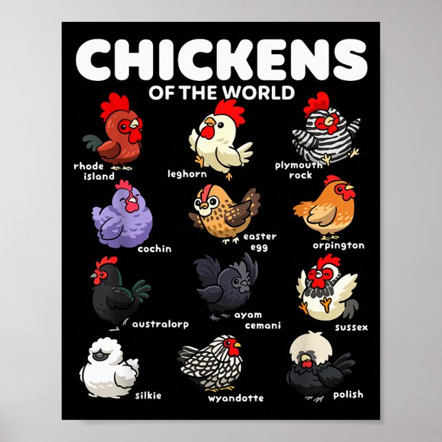 Affiche Poulets du monde dessins animés drôles de races de (Devant)