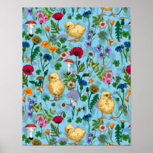 Affiche Poulets et fleurs sauvages sur le bleu bébé