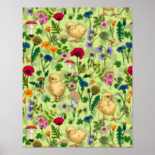 Affiche Poulets et fleurs sauvages sur le vert de rosée mi