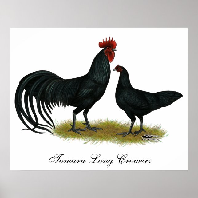 Affiche Poulets longs de tomaru Crowier (Devant)