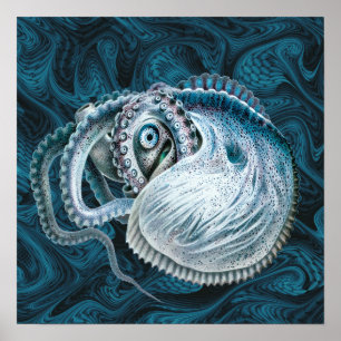 Affiche Poulpe Nautilus Argonaute Vintage