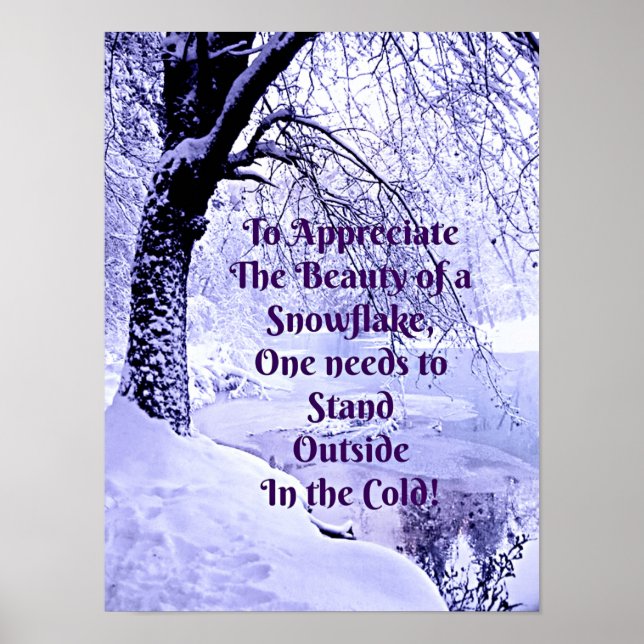 Affiche Pour apprécier la beauté d'un flocon de neige (Devant)