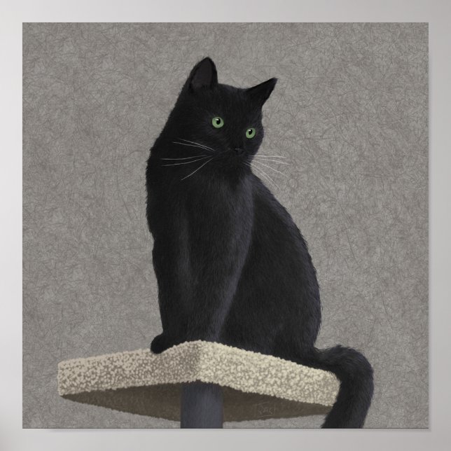 Affiche Pourcentage de chat noir (Devant)