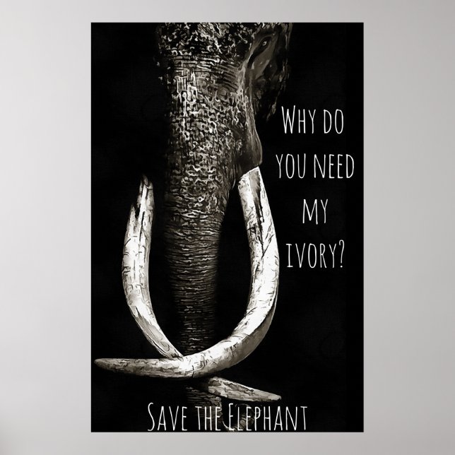 Affiche Pourquoi avez-vous besoin de mon éléphant noir et  (Devant)