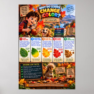 Affiche Pourquoi les feuilles changent de couleur Infograp