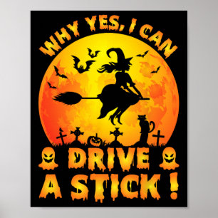 Affiche Pourquoi Oui En Fait Je Peux Conduire Un Bâton Drô
