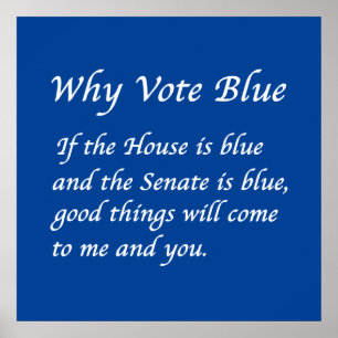 Affiche Pourquoi voter bleu en 2024