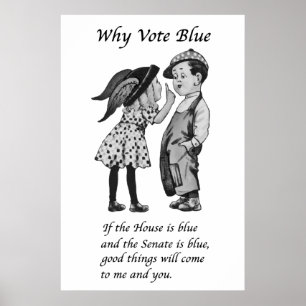 Affiche Pourquoi voter bleu en 2024