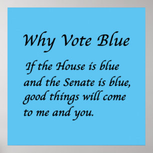Affiche Pourquoi voter bleu en 2026