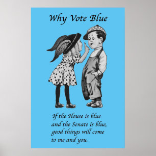 Affiche Pourquoi voter bleu en 2026