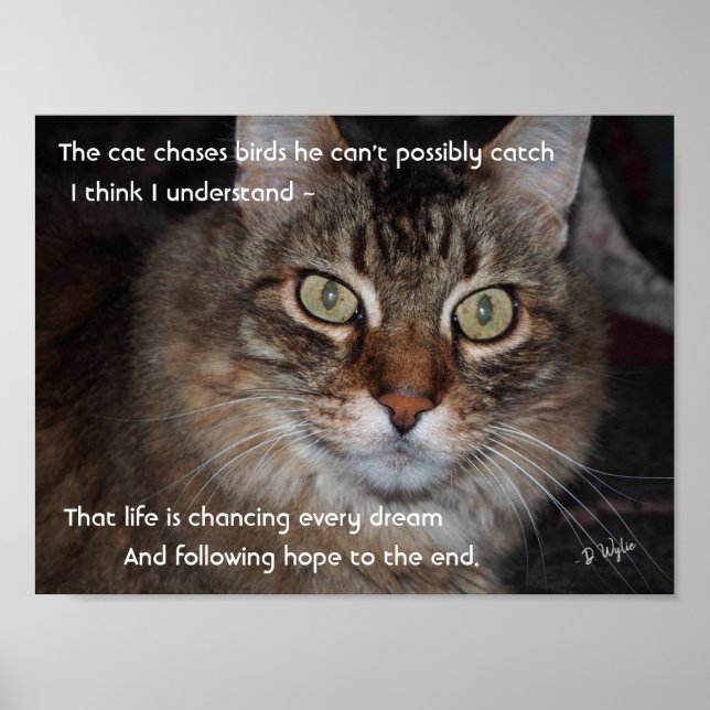 Affiche Poursuivre la poursuite des rêves (Devant)