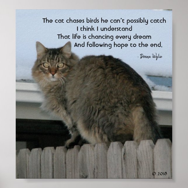 Affiche Poursuivre la poursuite des rêves (Devant)