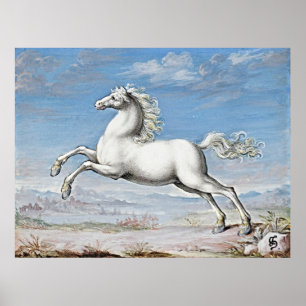 Affiche Pouvoir gracieux : Cheval Blanc - Oeuvre Rétro