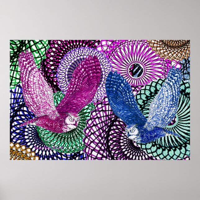 Affiche Powerful Owls (Devant)