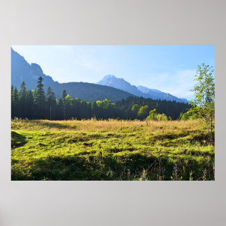 Affiche Prairie de montagne verte – Nature sauvage Roumani