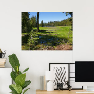 Affiche Prairie de Yosemite avec des étoiles filantes