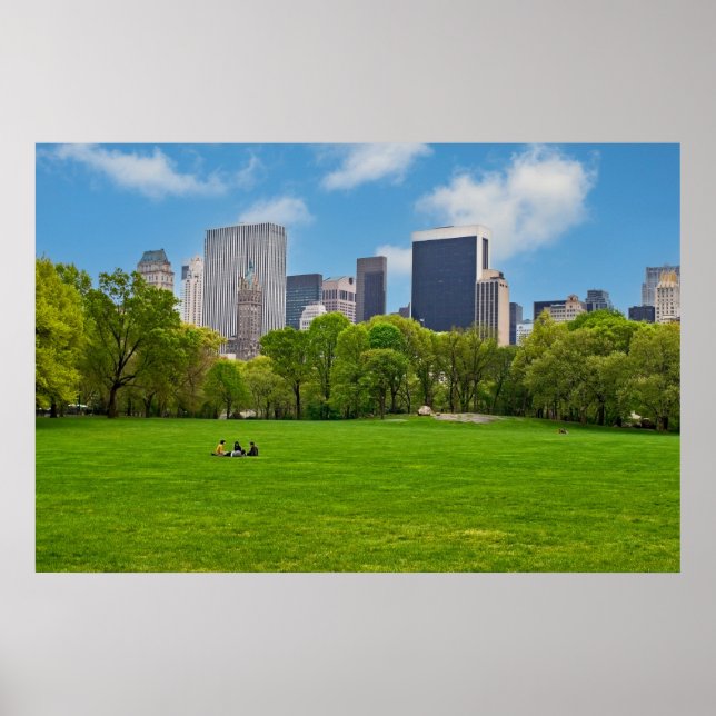 Affiche Prairie des moutons de printemps (Devant)