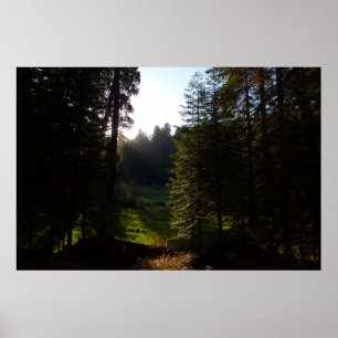 Affiche Prairie du Croissant matin au Parc national de Seq