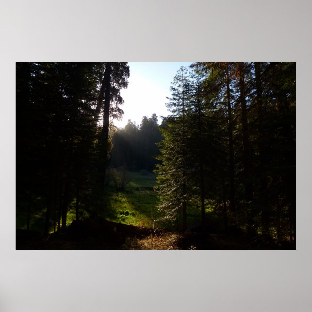 Affiche Prairie du Croissant matin au Parc national de Seq (Devant)