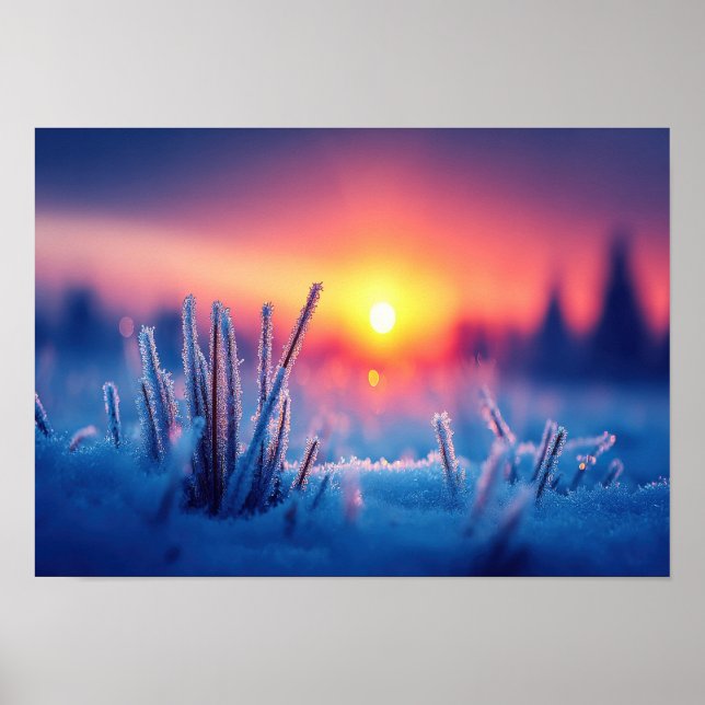 Affiche Prairie hivernale gelée au lever du soleil (Devant)