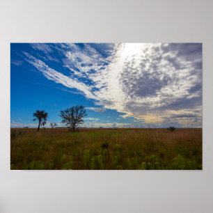 Affiche Prairie, Kissimmee Prairie Preserve State Park, FL