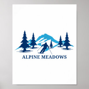 Affiche prairies alpines station de ski californie skieur 