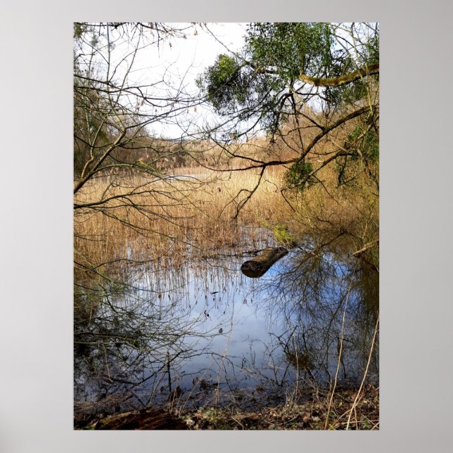 Affiche prairies naturelles (Devant)