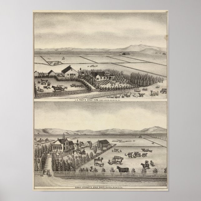 Affiche Pratt, Stewart (Devant)