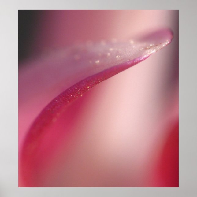 Affiche Préciser (Devant)