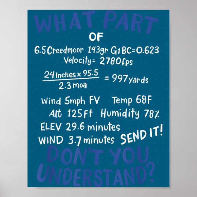 Affiche Precision Shooting Funny Gun Shooting Srts Gun Lov (Devant)