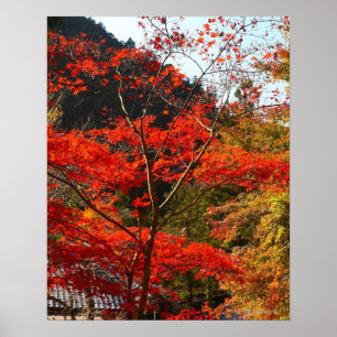 Affiche Préfecture de Saitama, Japon