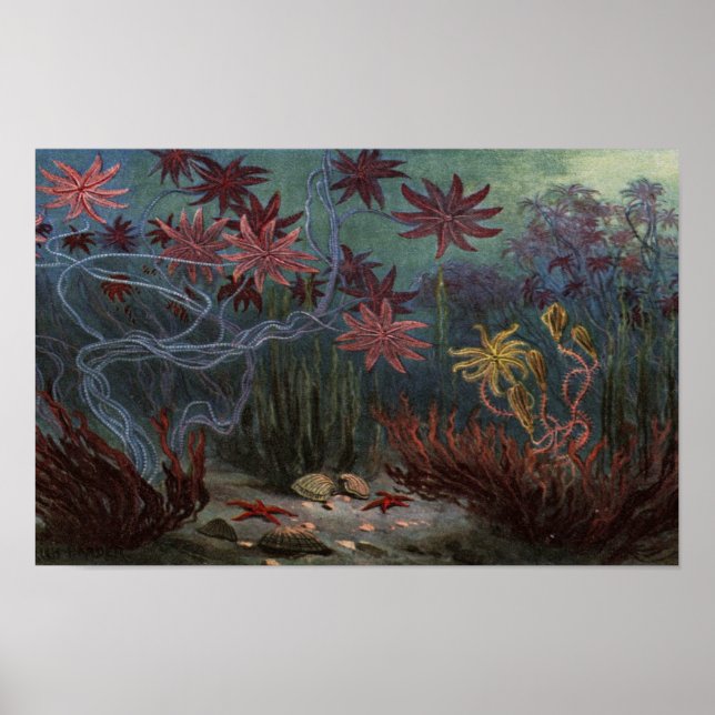 Affiche Prehistoric Ocean (Devant)