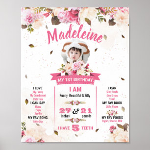 Affiche Premier Anniversaire Pour Bébé Fille