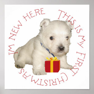 Affiche Premier Noël de chiot Westie