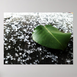 Affiche Premier temps