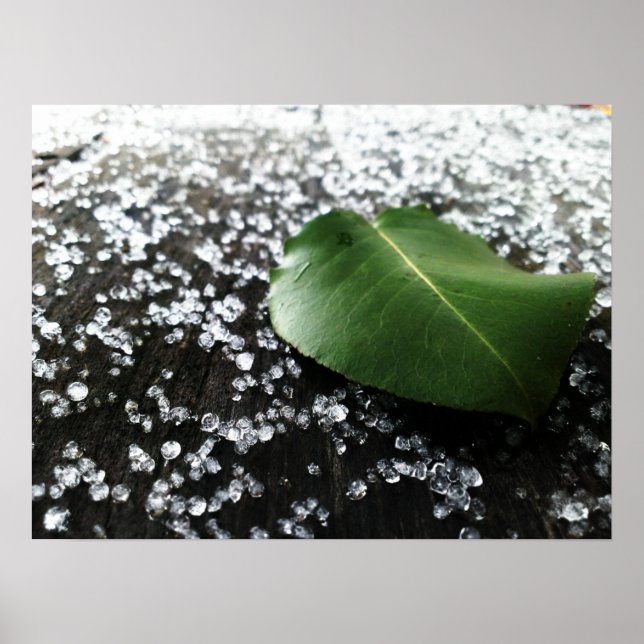 Affiche Premier temps (Devant)