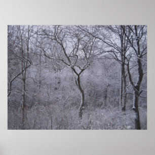 Affiche Première chute de neige dans le nord de New York