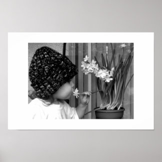 Affiche Première fleur