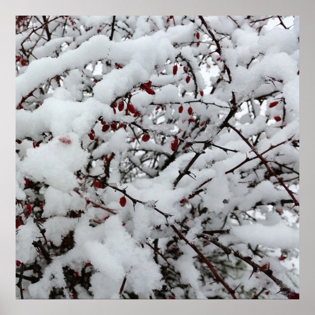 Affiche première neige (Devant)