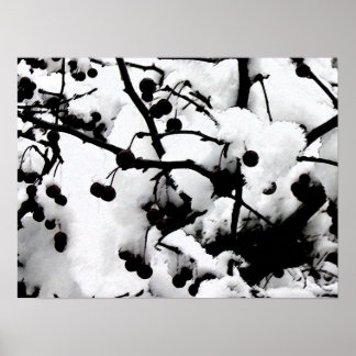 Affiche Première neige