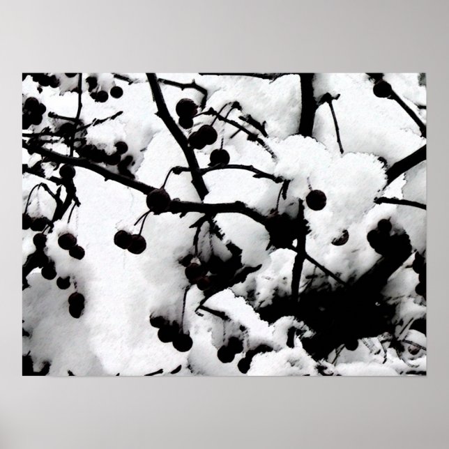 Affiche Première neige (Devant)