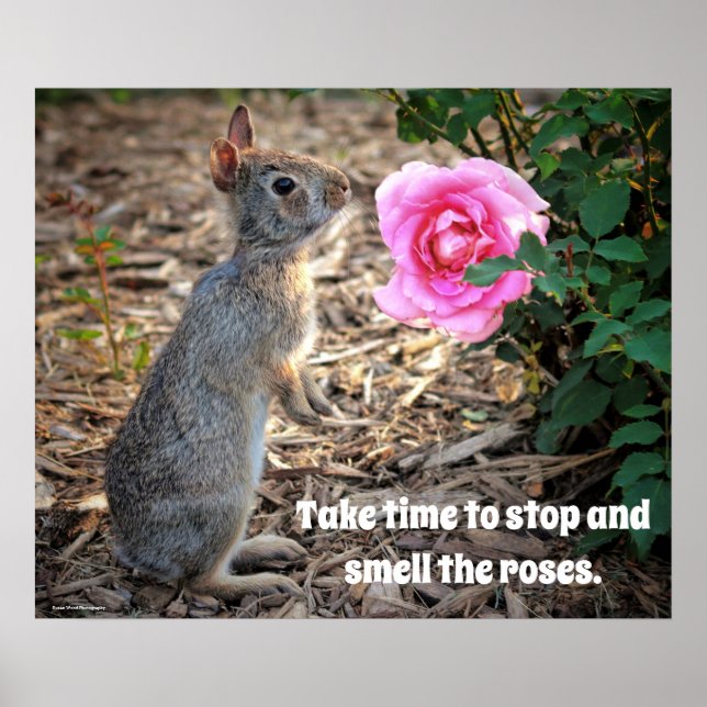 Affiche Prenez le temps de sentir l'affiche Rose (Devant)