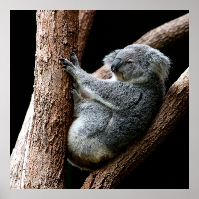 AFFICHE PRENEZ VOTRE TEMPS (Devant)