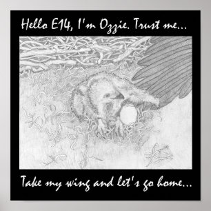 AFFICHE PRENONS MON AILE RETOURNONS À LA MAISON SAUVONS LA