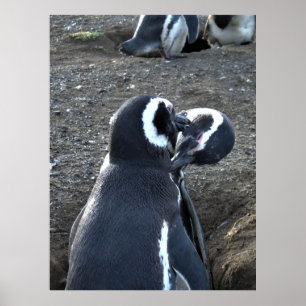 Affiche Préparation des partenaires
